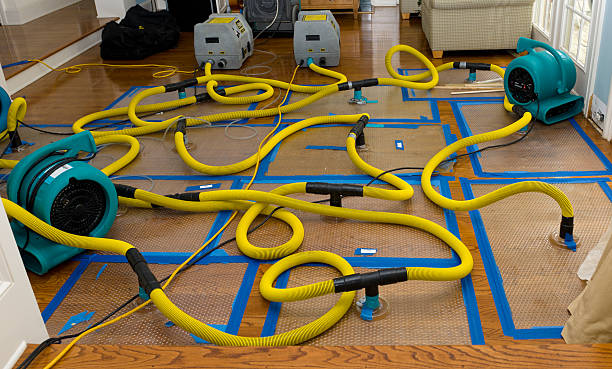 Professional Water Damage Repair technician working in Harrison, ID